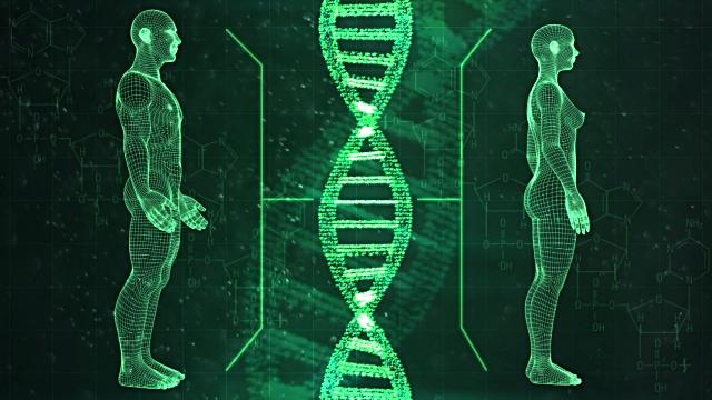ДНК Человечества — в прицеле нового вида биологического оружия