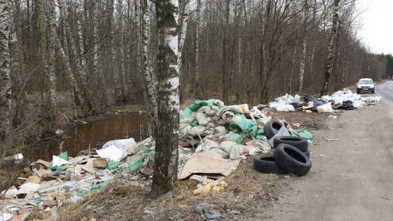 В Петербурге мусор выбрасывают прямо вдоль дорог