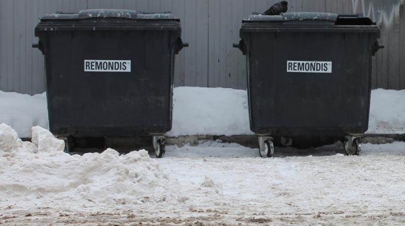 ОНФ в Мордовии просит регоператора установить дополнительные контейнеры для мусора в Алашеевке