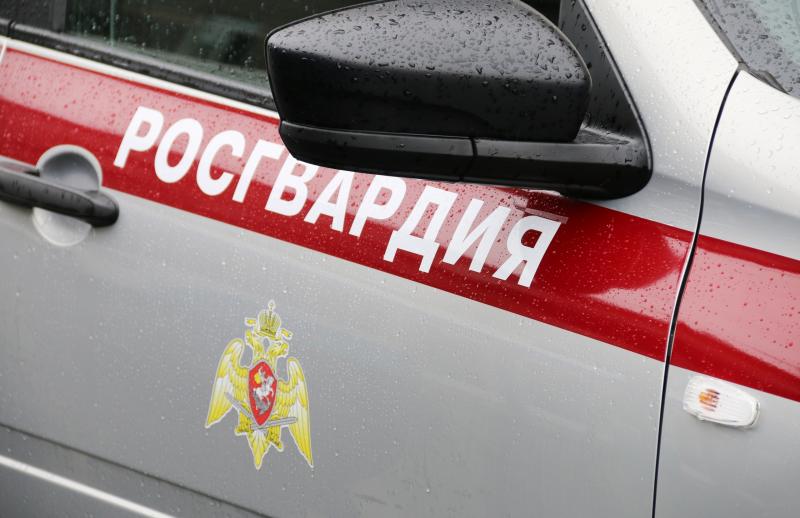 В Пскове сотрудники вневедомственной охраны Росгвардии задержали женщину, подозреваемую в краже