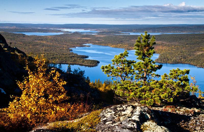 Норвежские экологи одобрили действия «Норникеля» по сокращению рисков для окружающей среды