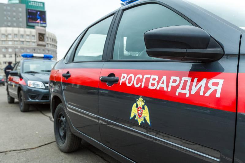 В Челябинской области сотрудники Росгвардии задержали мужчину, находившегося в федеральном розыске