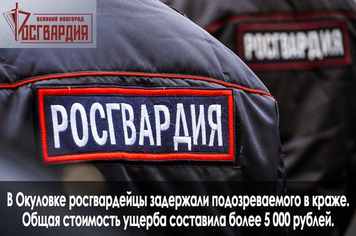 В Новгородской области сотрудники вневедомственной охраны Росгвардии пресекли кражу из магазина