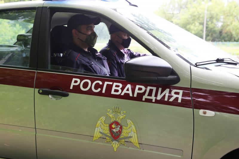 В Мордовии росгвардейцы оказали содействие сотрудникам ДПС в задержании двух пьяных водителей