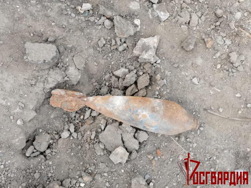 На Южном Урале бойцы ОМОН обследовали мину, найденную при проведении дорожных работ