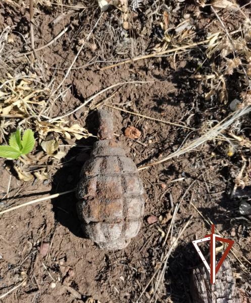 В Магнитогорске сотрудники ОМОН обезвредили ручную гранату, найденную на территории бывшего полигона