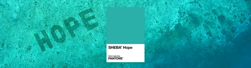 Институт цвета Pantone в партнёрстве с брендом SHEBA® выпустил новый бирюзовый оттенок, чтобы привлечь внимание к экологии океанов