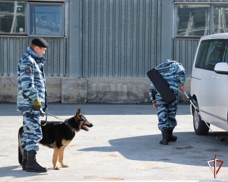 В Магнитогорске сотрудники ОМОН Росгвардии обеспечивают безопасность во время призывной кампании