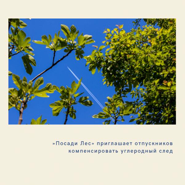 «Посади Лес» приглашает отпускников Кировской области компенсировать углеродный след