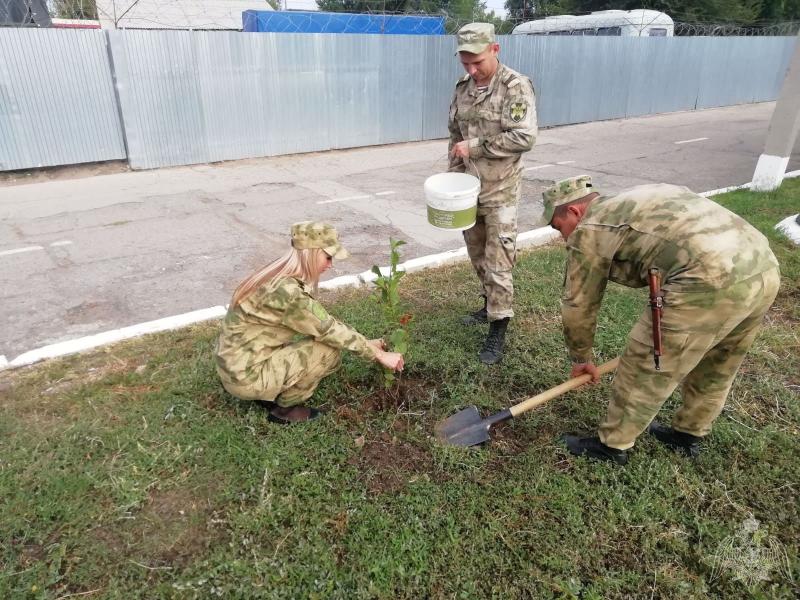 В Саратовской области военнослужащие Росгвардии приняли участие во Всероссийской экологической акции «Зеленая Россия»