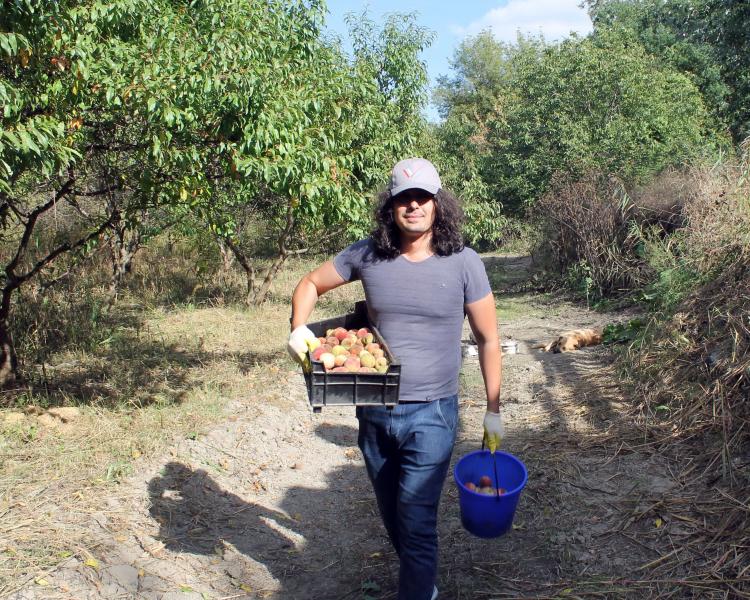 #МыВместе: активисты ОНФ в Кабардино-Балкарии раздали нуждающимся овощи и фрукты от фермера из Майского района