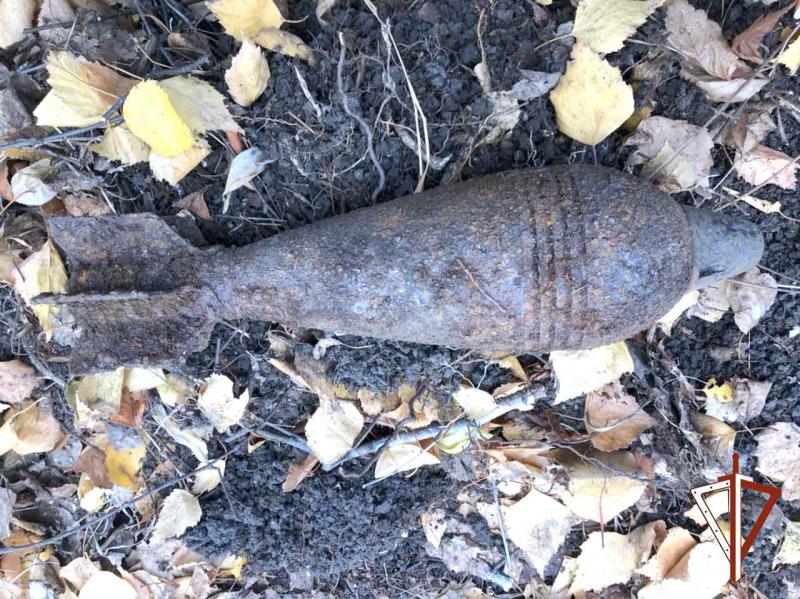 Бойцы челябинского ОМОН уничтожили минометную мину, найденную в лесном массиве