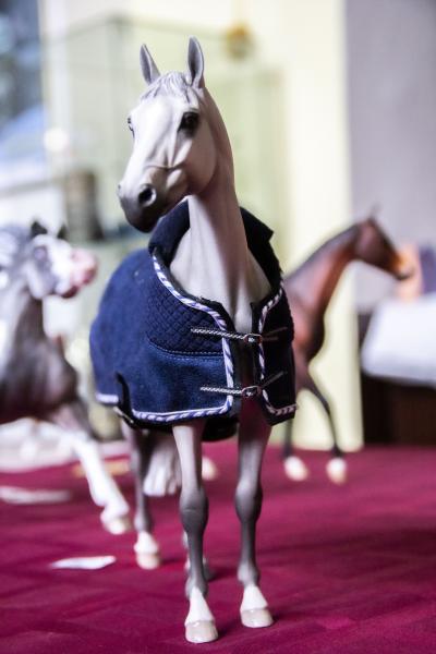 В КСК «Измайлово» впервые состоялась 
уникальная выставка конной миниатюры