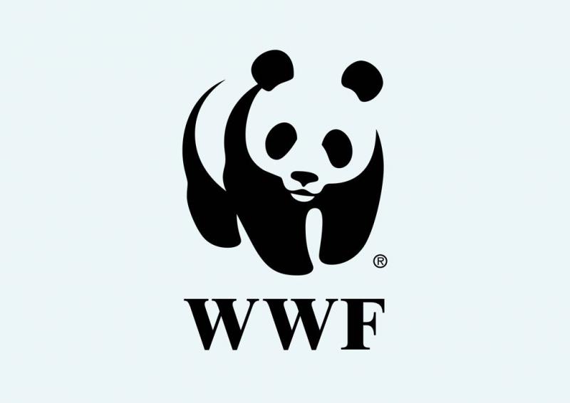 WWF России и фонд Citi запускают в России и Казахстане программу поддержки экологически ориентированного молодёжного предпринимательства