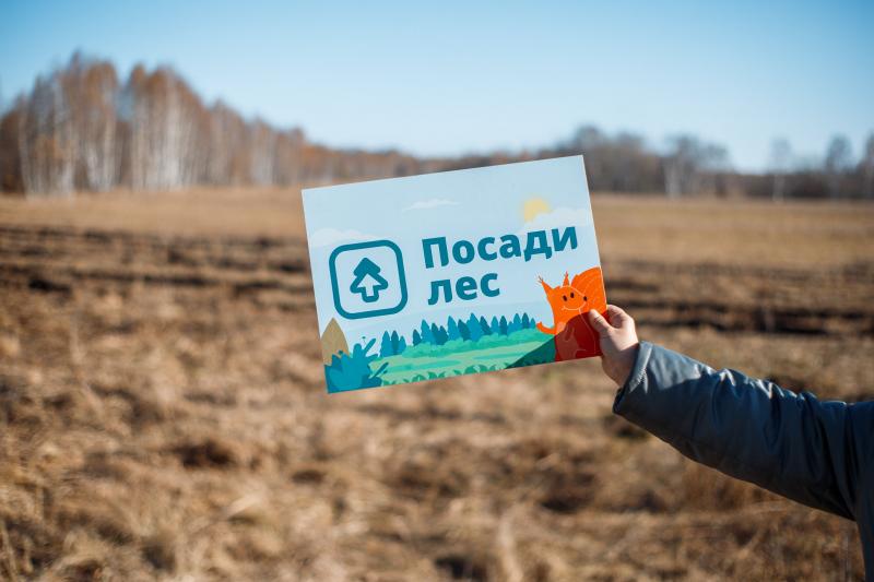 Проект «Посади лес» восстановил более 1,6 миллионов деревьев в 2021 году в том числе в Ульяновской области