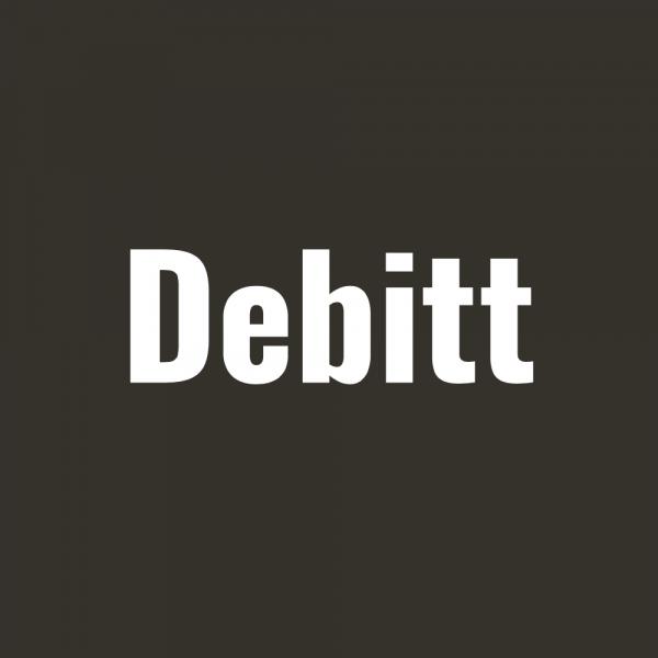 Компания Debitt  - основной игрок рынка оптимизации налогов.