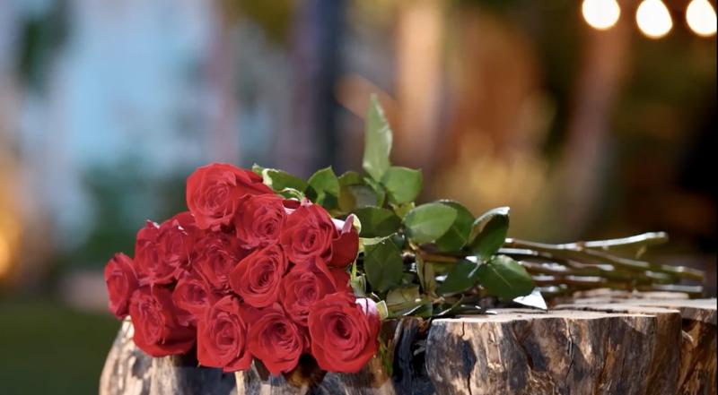 Конец дружбы фавориток проекта, непростительное поведение Димаша и тайная церемония роз в новом выпуске шоу «Холостяк» на ТНТ