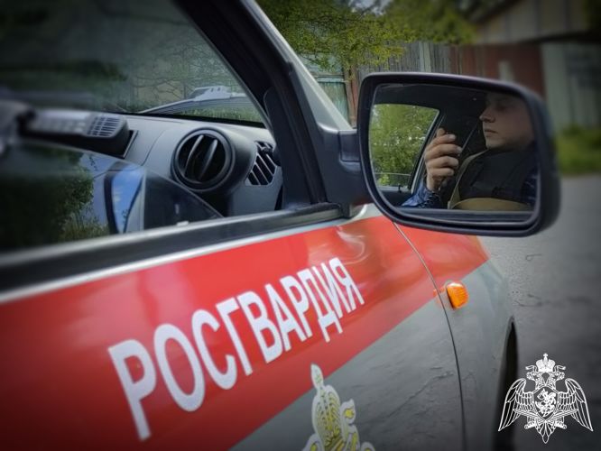 Росгвардейцы в Курске задержали  мужчину находящегося в оперативном розыске