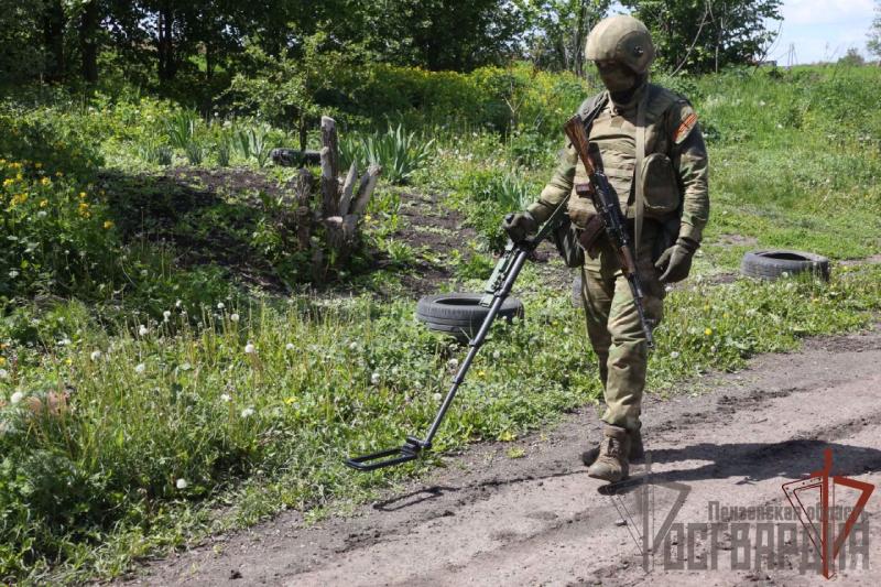 Саперы Росгвардии разминировали дороги в населенном пункте Донецкой народной республики