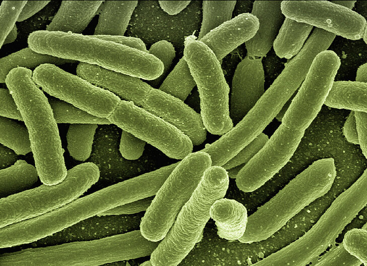 Чудо-бактерии сделают промышленность экологичней